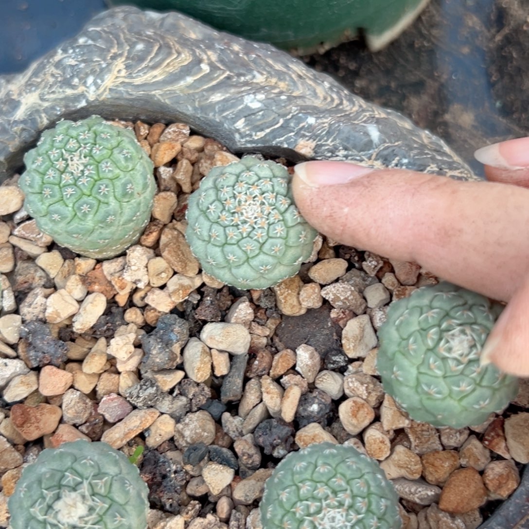 雯***雯零零落落 零零落落