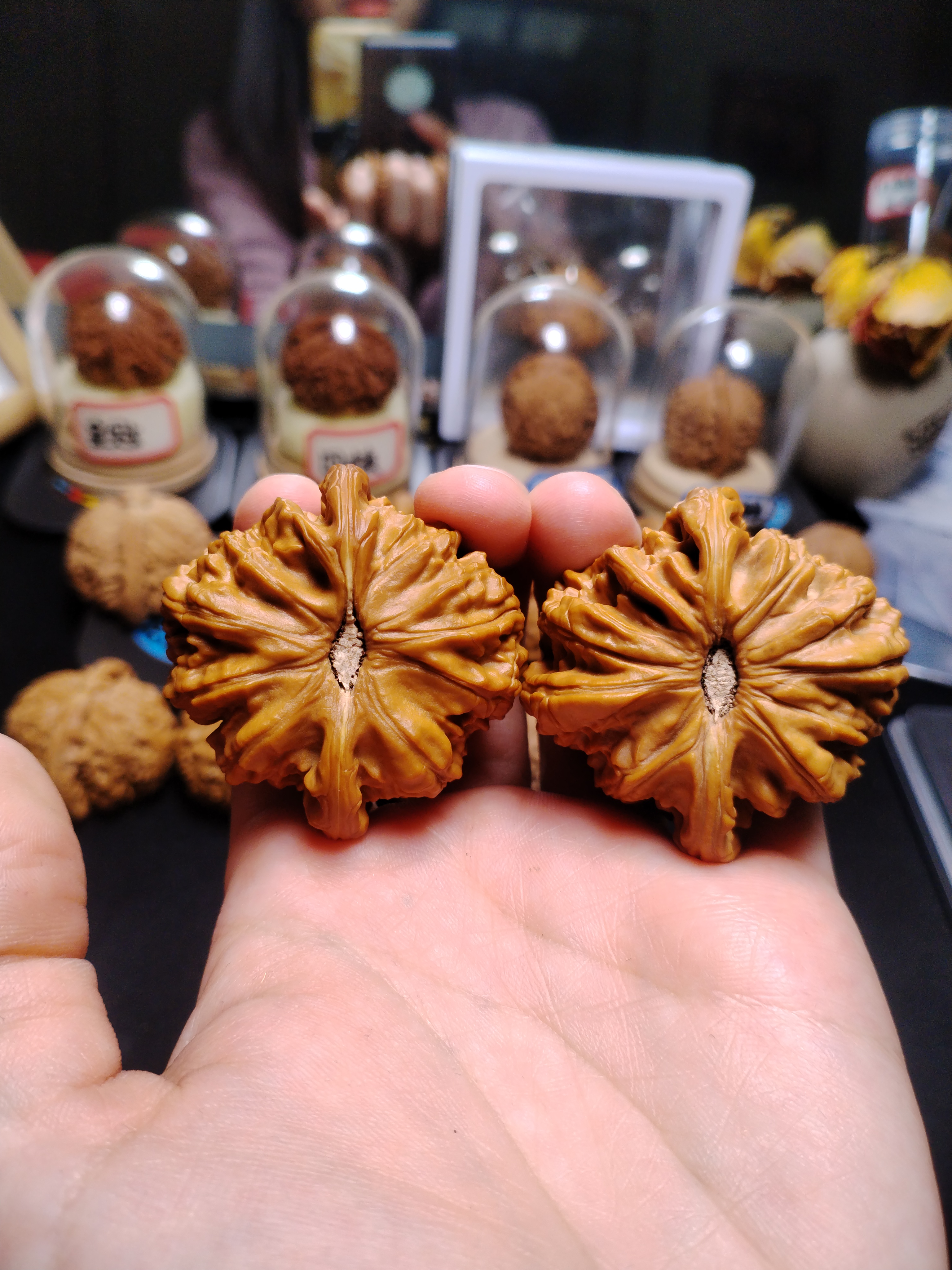 48闷白狮子头文玩核桃