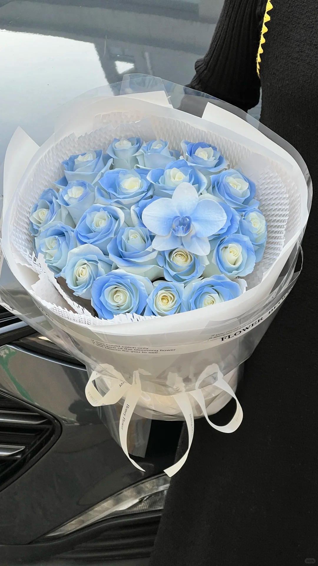 (曼）碎冰蓝15支+5支防损鲜花任意满2单包邮