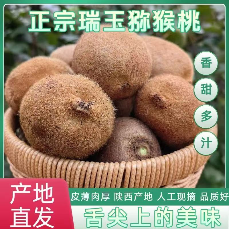 陕西周至正宗瑞玉猕猴桃硬果即食当季绿心奇异果纯甜孕妇儿童水果