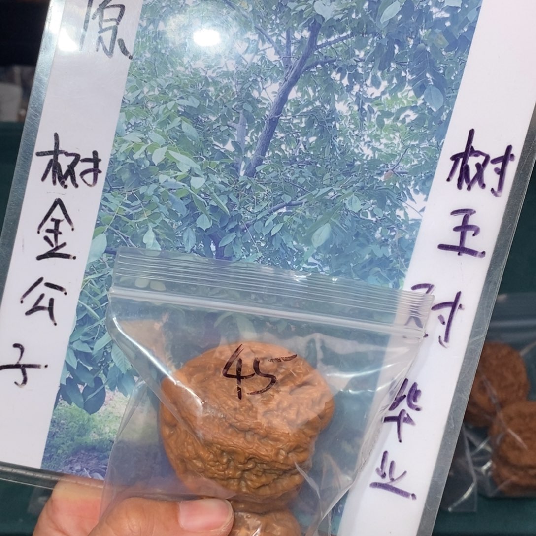 吊坠文玩核桃45金公子