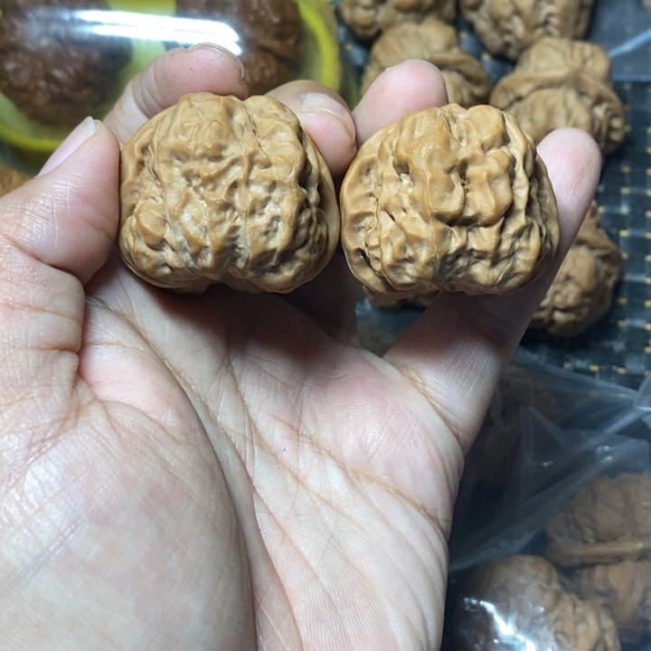 文玩核桃把件蛤蟆37