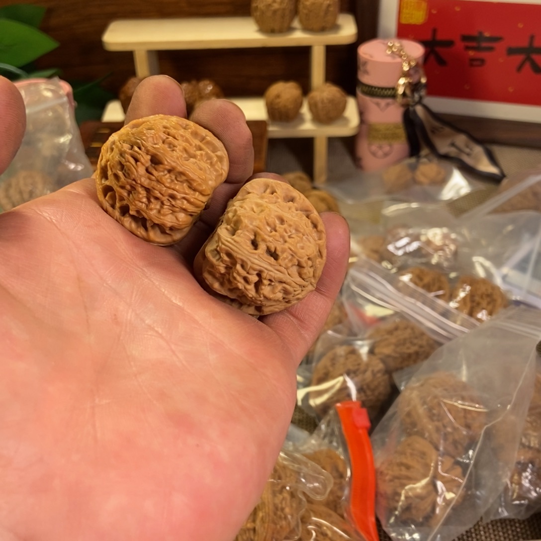 白狮子11111111111