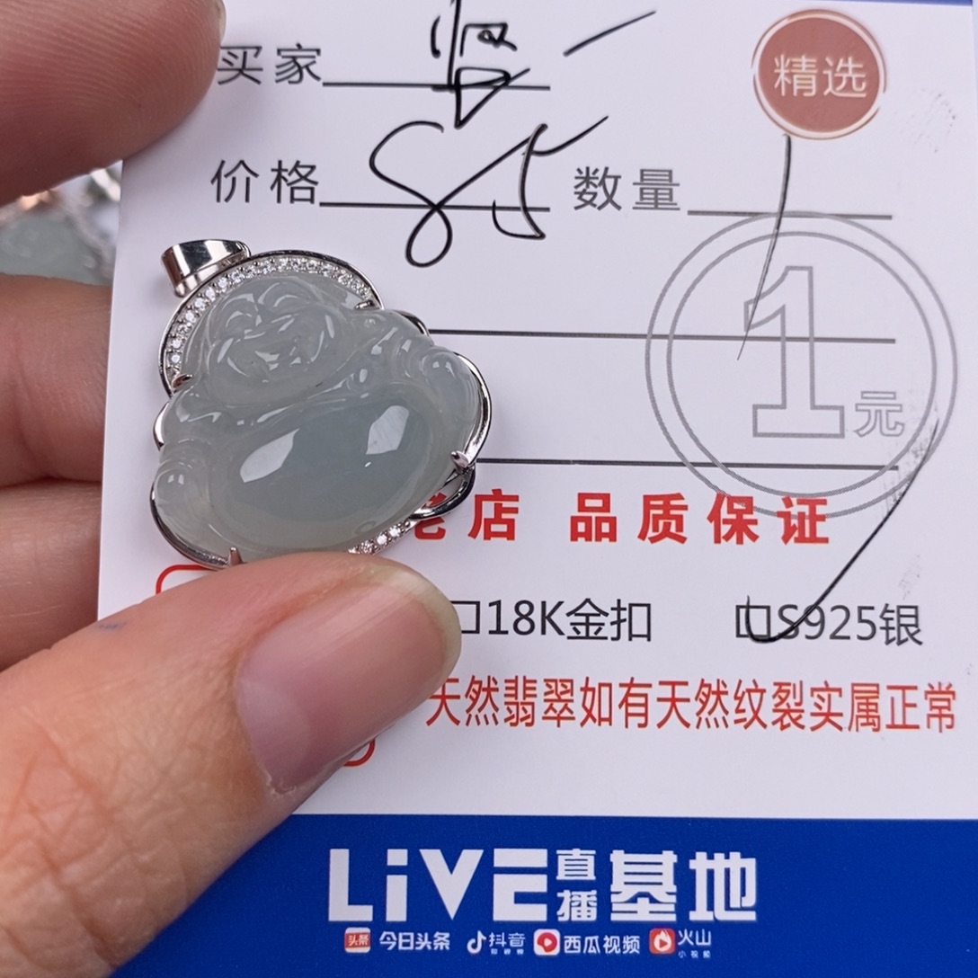 静***强翡翠银S925镶嵌颈饰