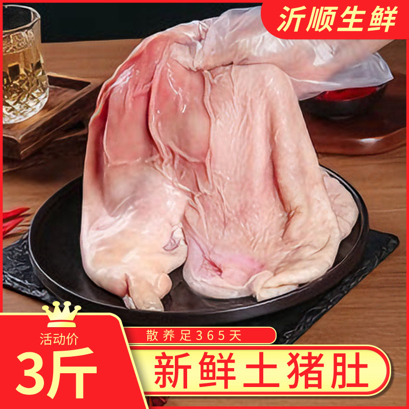 【拍2个送一个农家大号土猪肚】只卖大猪肚新鲜猪肚子土猪肚发冷链