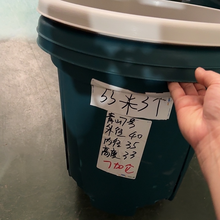 青山7#军绿5个无托