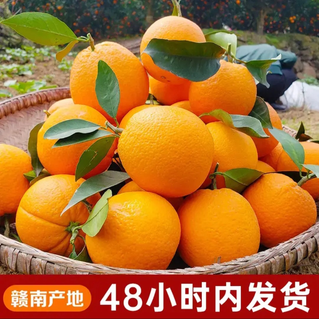 正宗赣南脐橙大果香甜橙子新鲜应季水果赣州脐橙现摘现发产地包邮
