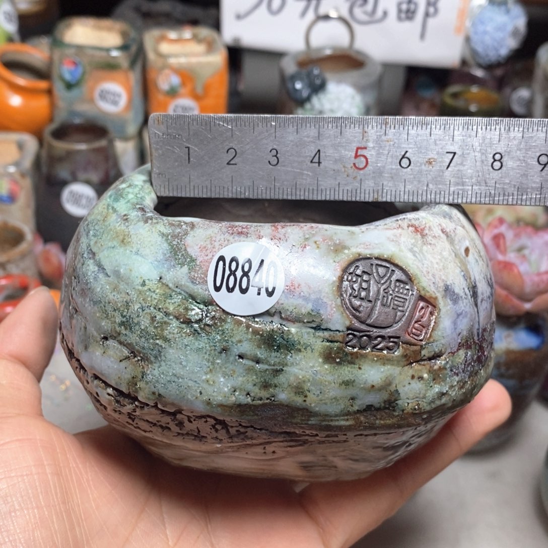 花盆拍3送一个小礼物