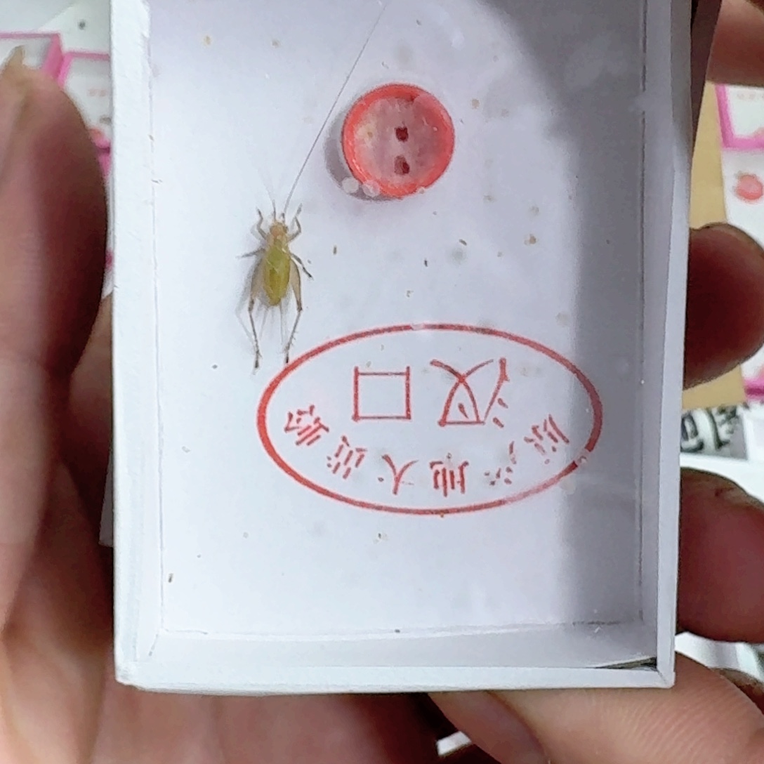 野***鹤这哈哈姐姐姐姐姐姐家