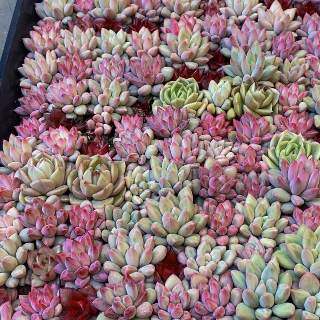 宁****馆201的人在一起的时候就