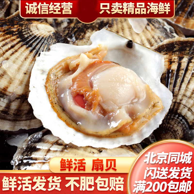 扇贝现杀发货