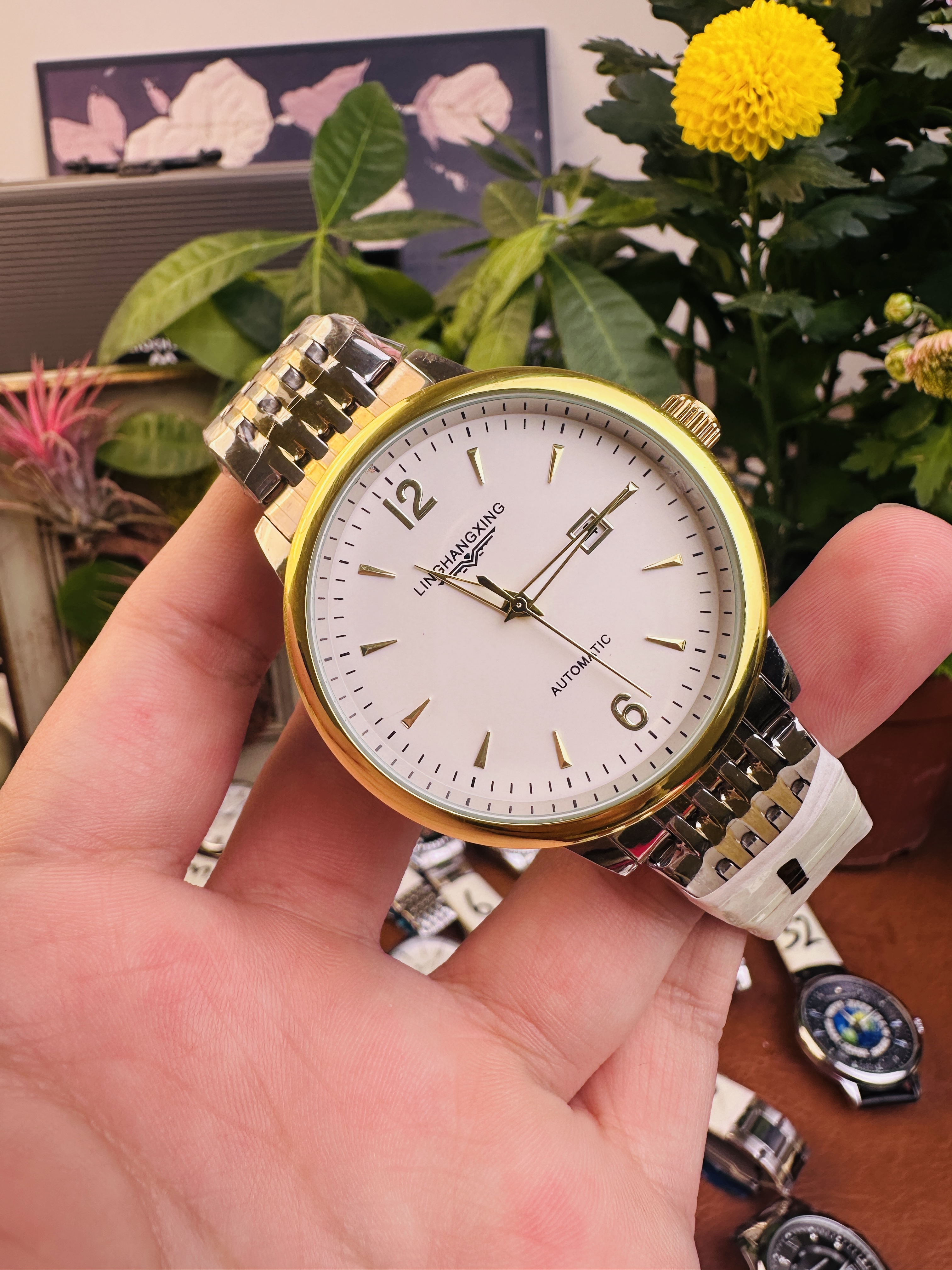 全新高端轻奢男士全自动手表商务时尚防水-按编号下单-威