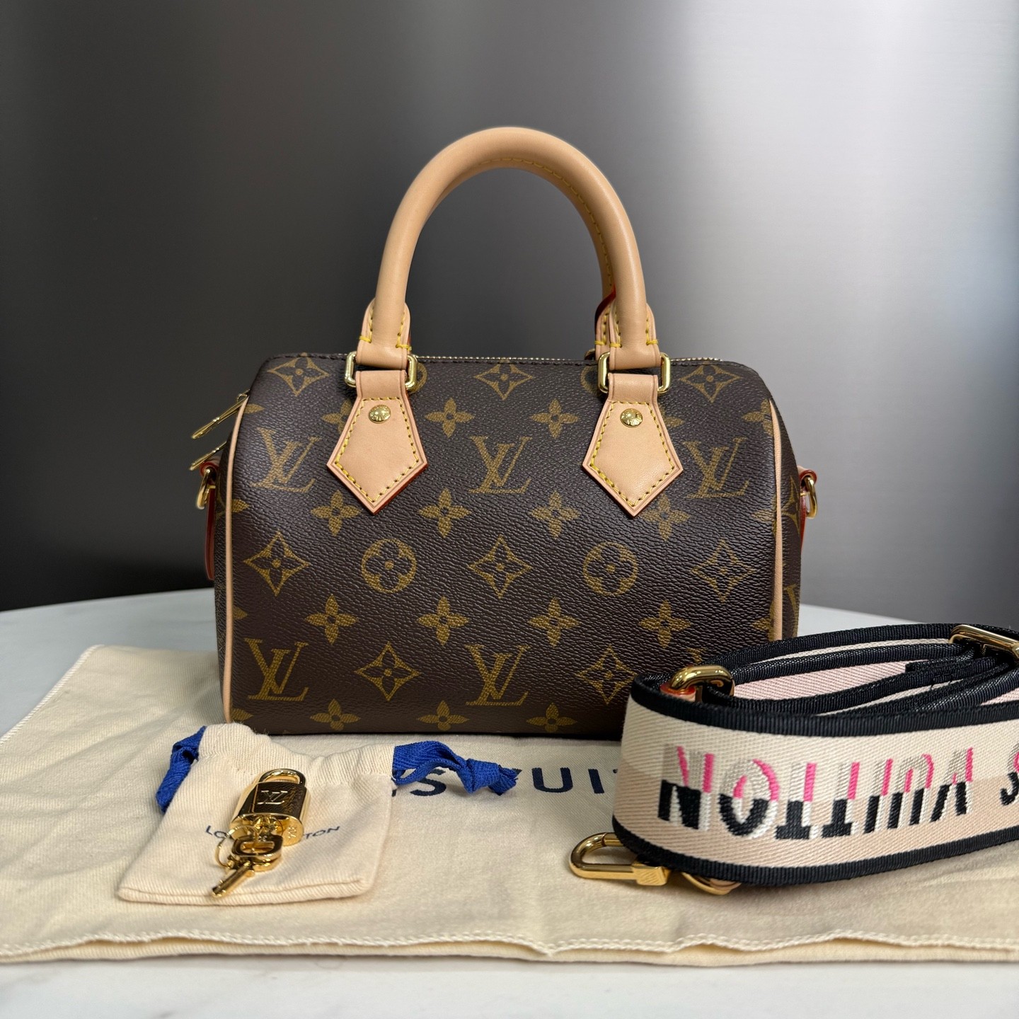 99新 LouisVuitton/路易威登 芯片款Speedy20枕头单肩包15836776