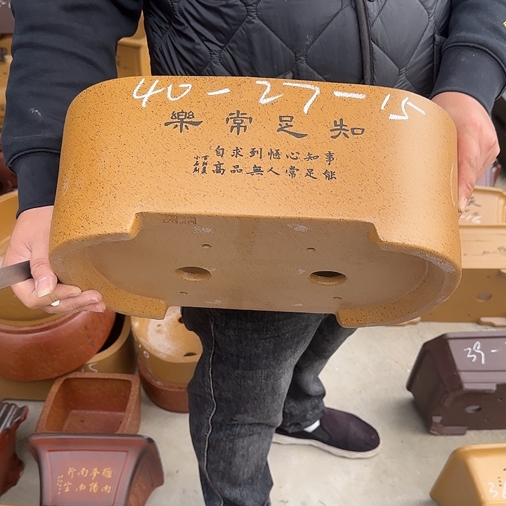 花盆紫砂这是什么