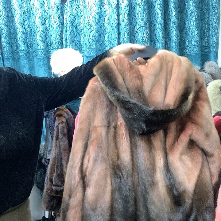 高端时尚款牌直播间食物