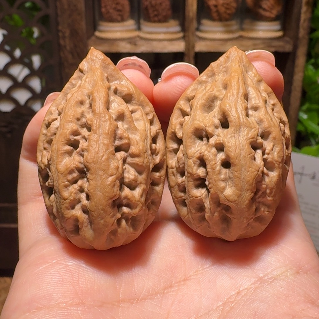 文玩核桃把件粗筋龙纹