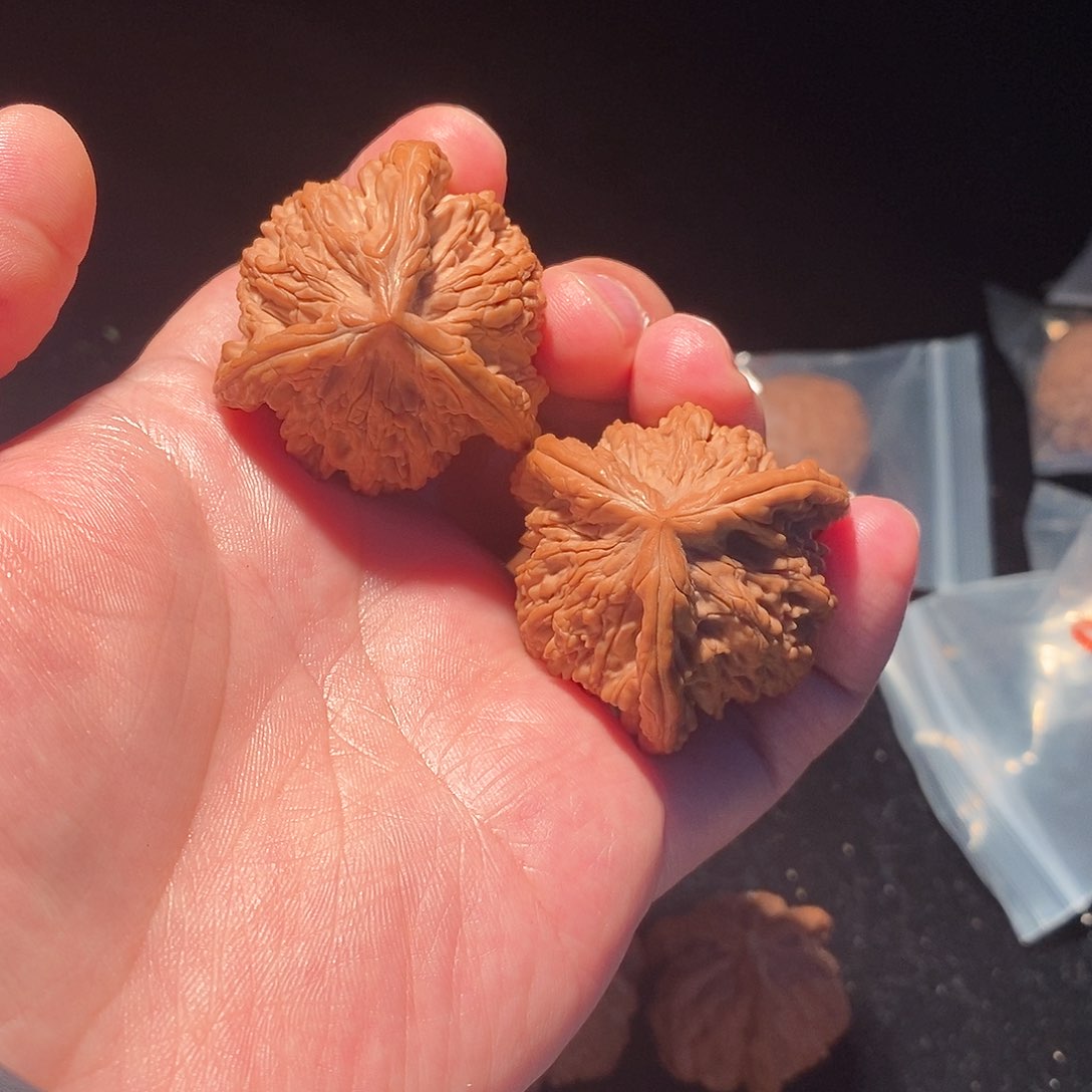 一*～42麦穗虎头三棱球奔