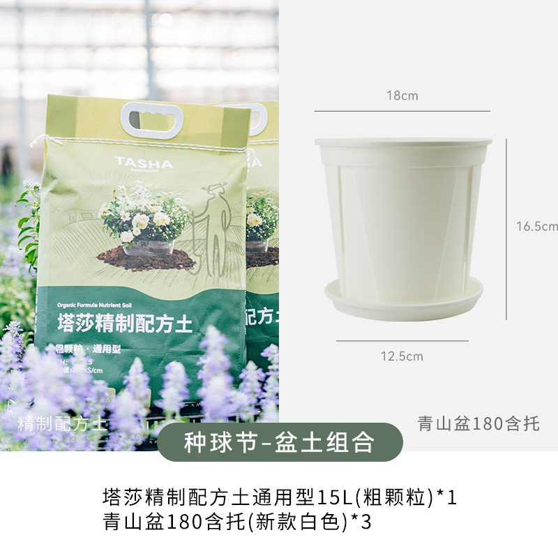 【塔莎种球日】青山盆组合量贩特惠种植盆加仑盆树脂花盆