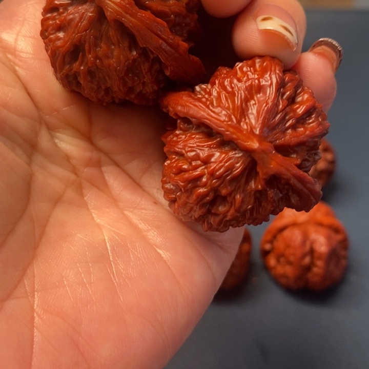 核桃白狮子一对，机刷款