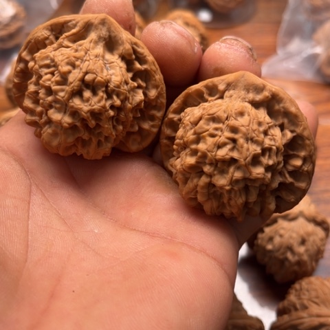 文玩核桃把件官帽