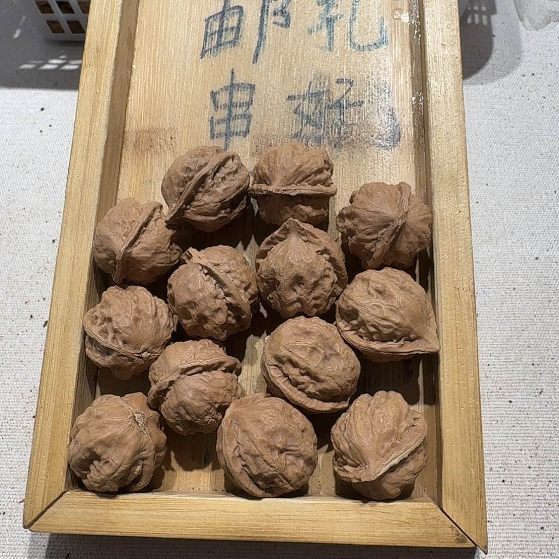 核桃手串/手链117号边25肚24高25