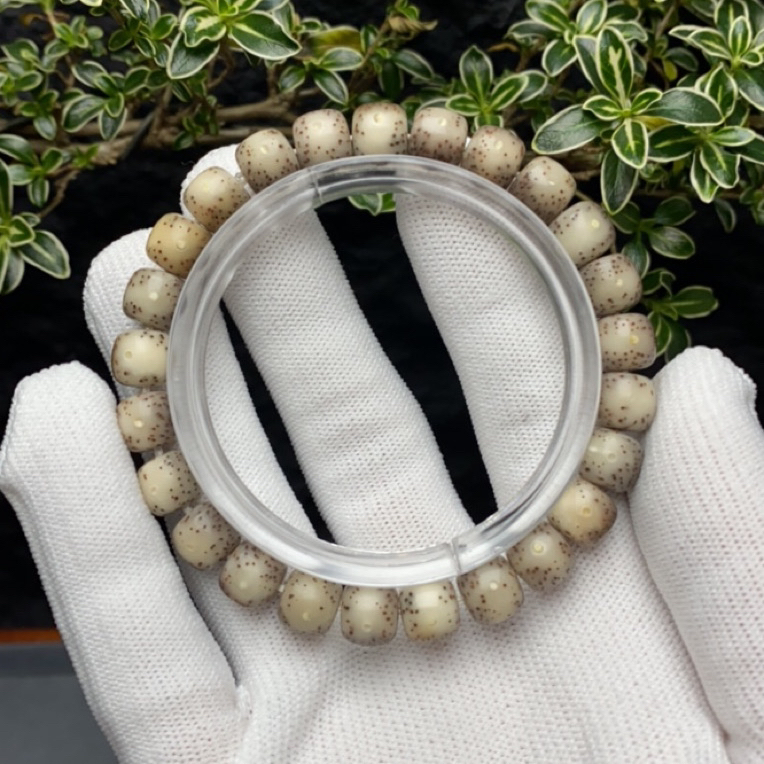 原生态海南同枝果石玉料大留白星月菩提单圈手串文玩