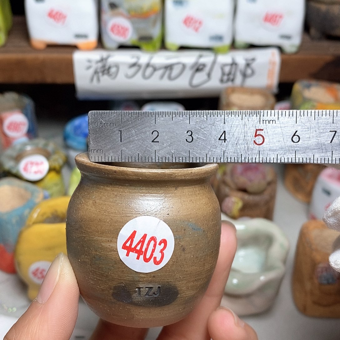 红陶拍5送一个小