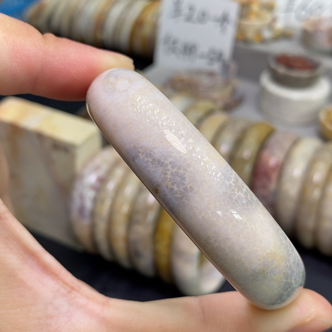 硅化玉未镶嵌手镯