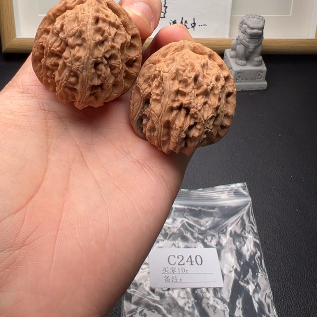 39+角白狮子阴皮对子正C240