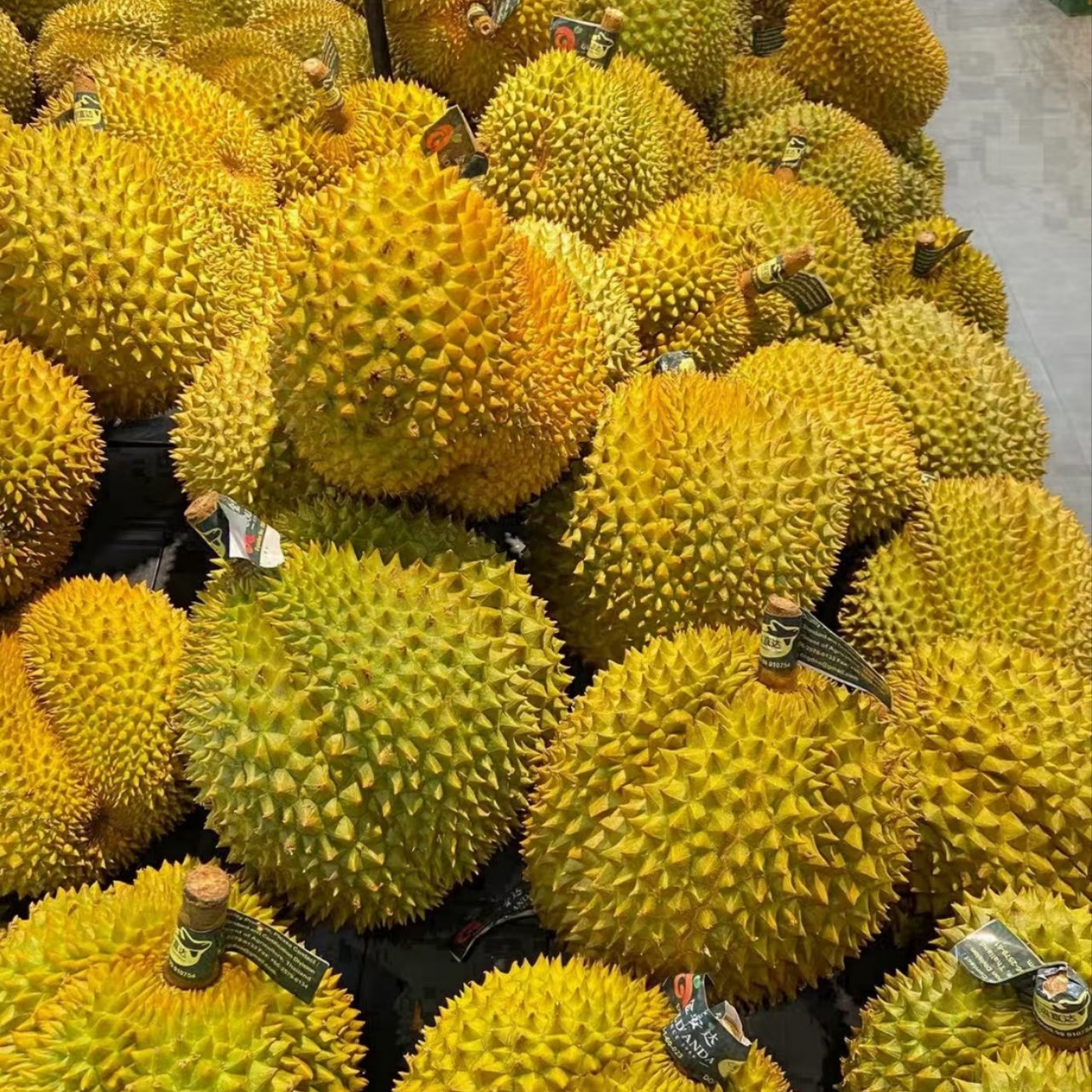 泰国新鲜榴莲夹生果肉2斤不喜勿拍核小金枕泰国南部