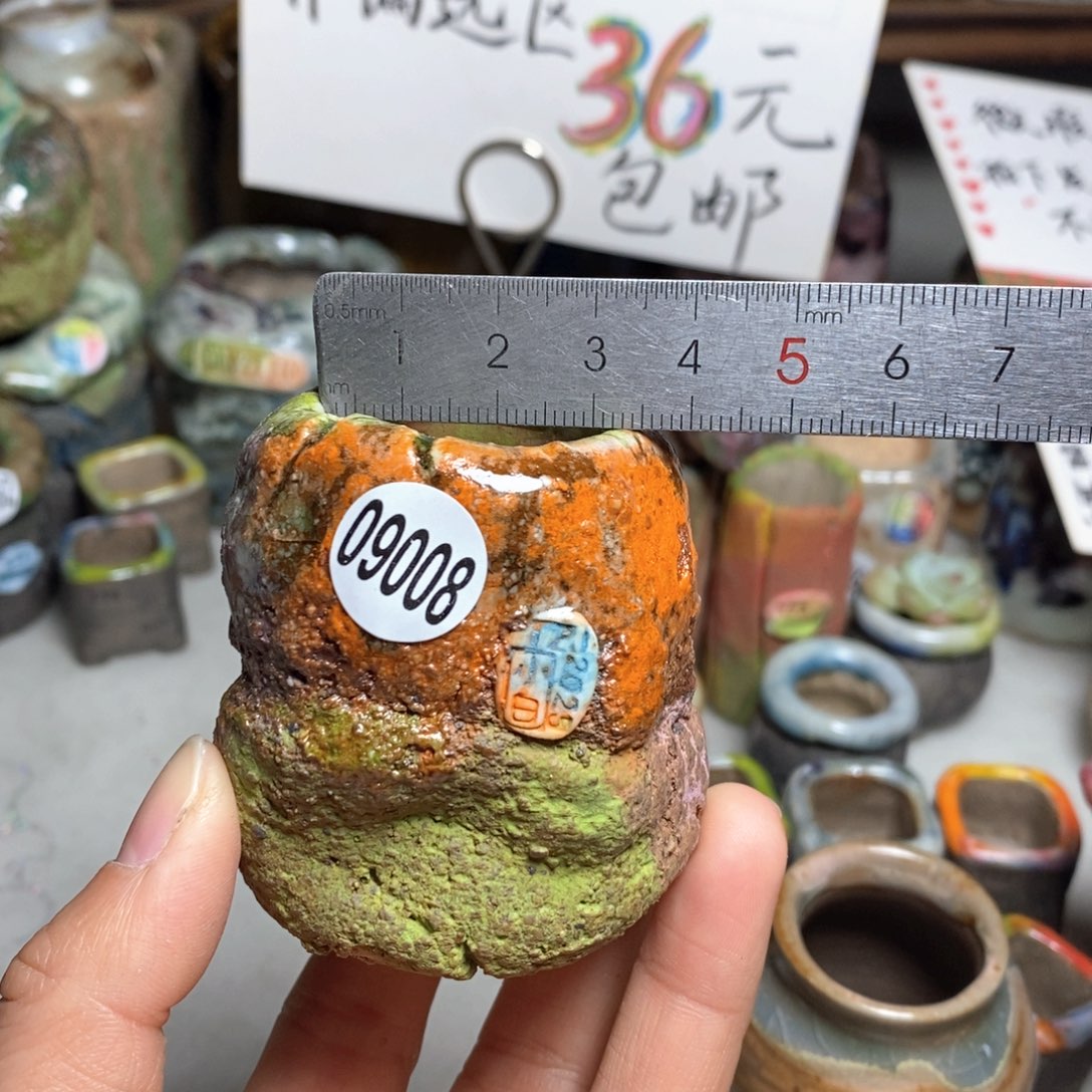 花盆拍3送一个小礼物