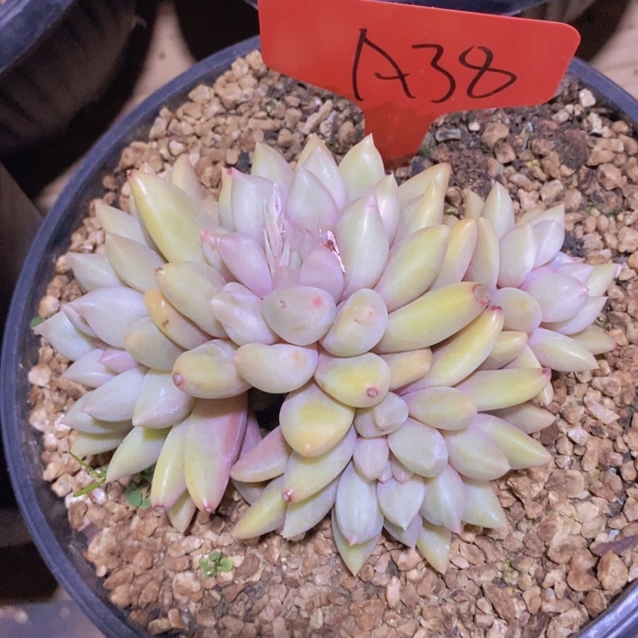 是你吗小飞你怎么了我