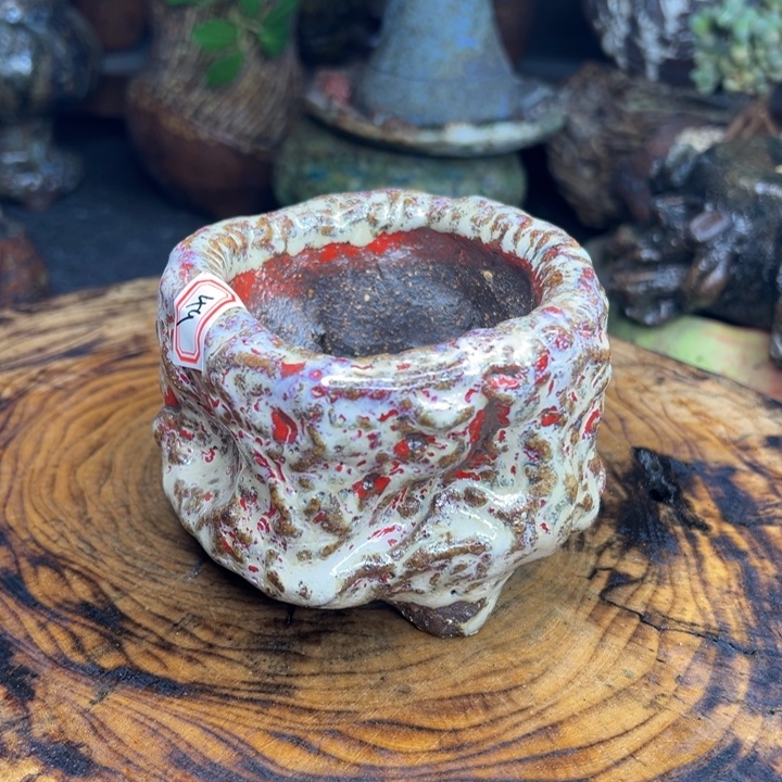 陶瓷制品不退不换17