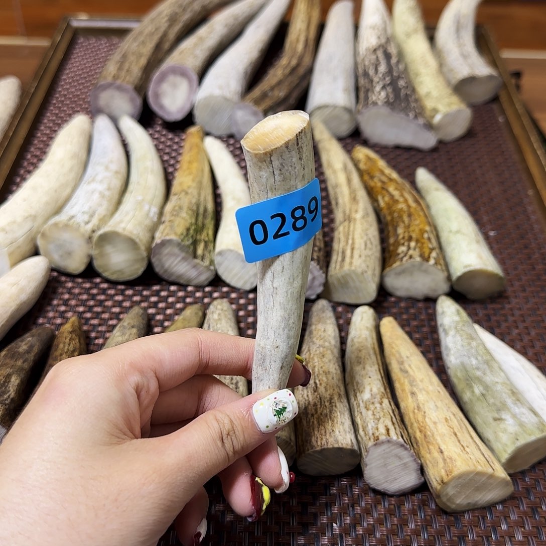 鹿骨手串/手链角尖0289