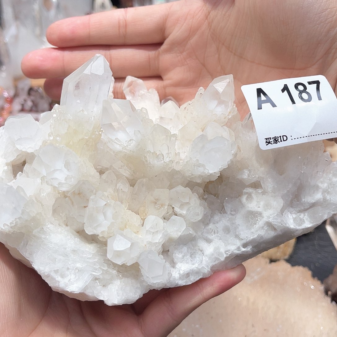 水晶水晶未镶嵌杨*水晶