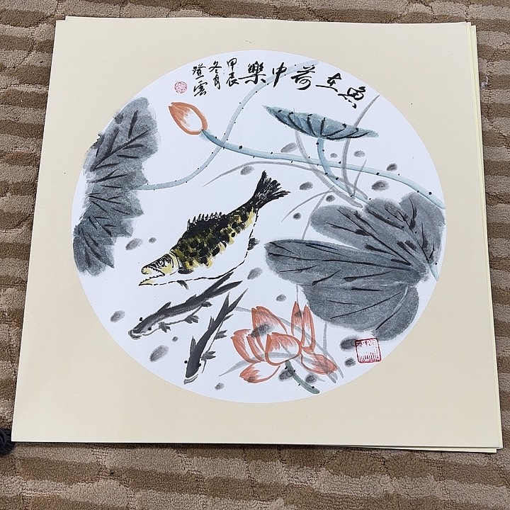 国画花鸟的翅膀是白色50.50