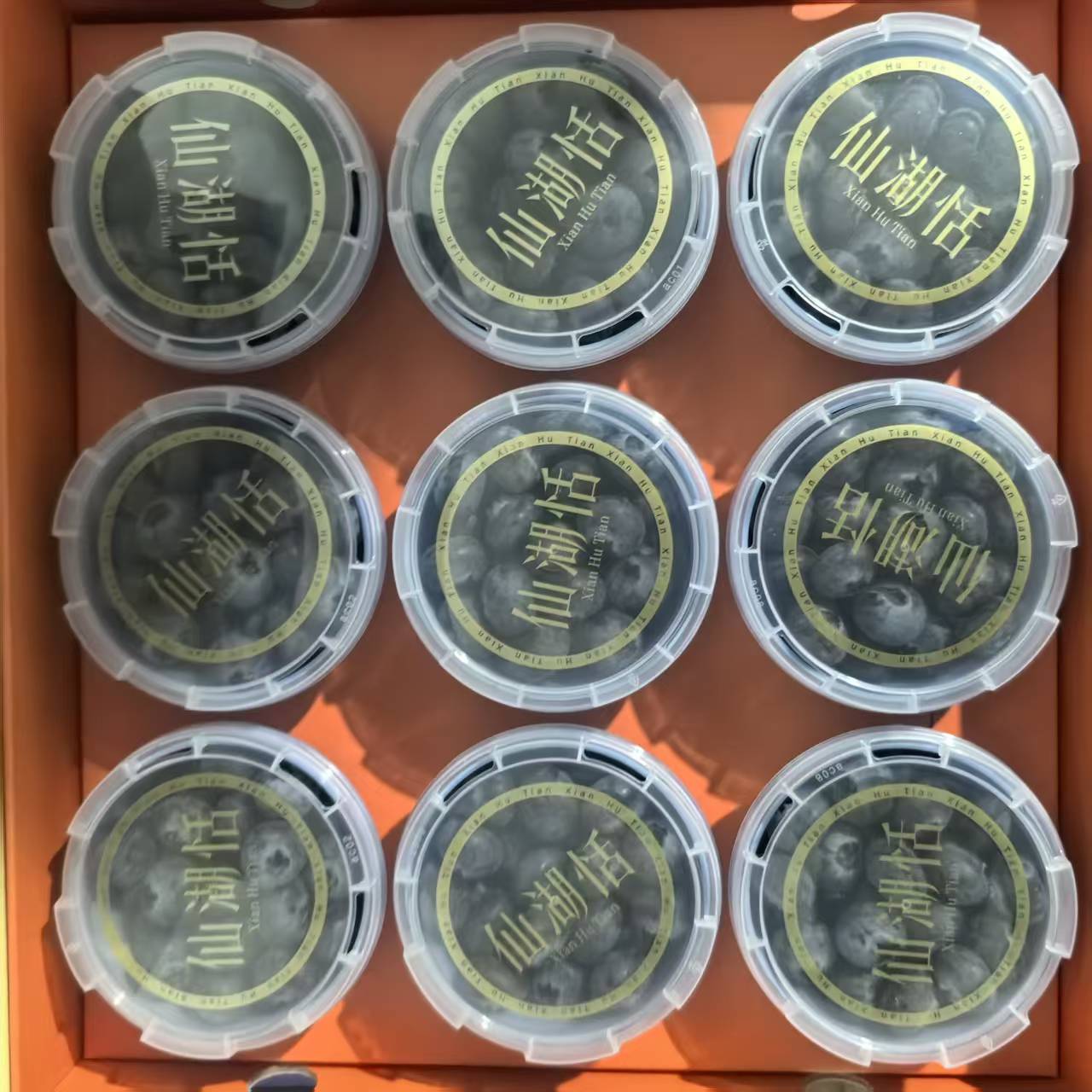 仙湖恬 云南脆甜新鲜蓝莓礼盒装   净重1.5斤装