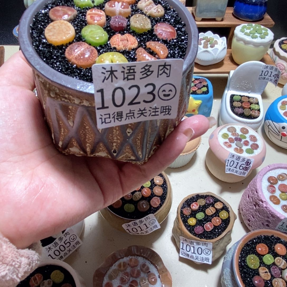 所见即所得 一物一拍1023