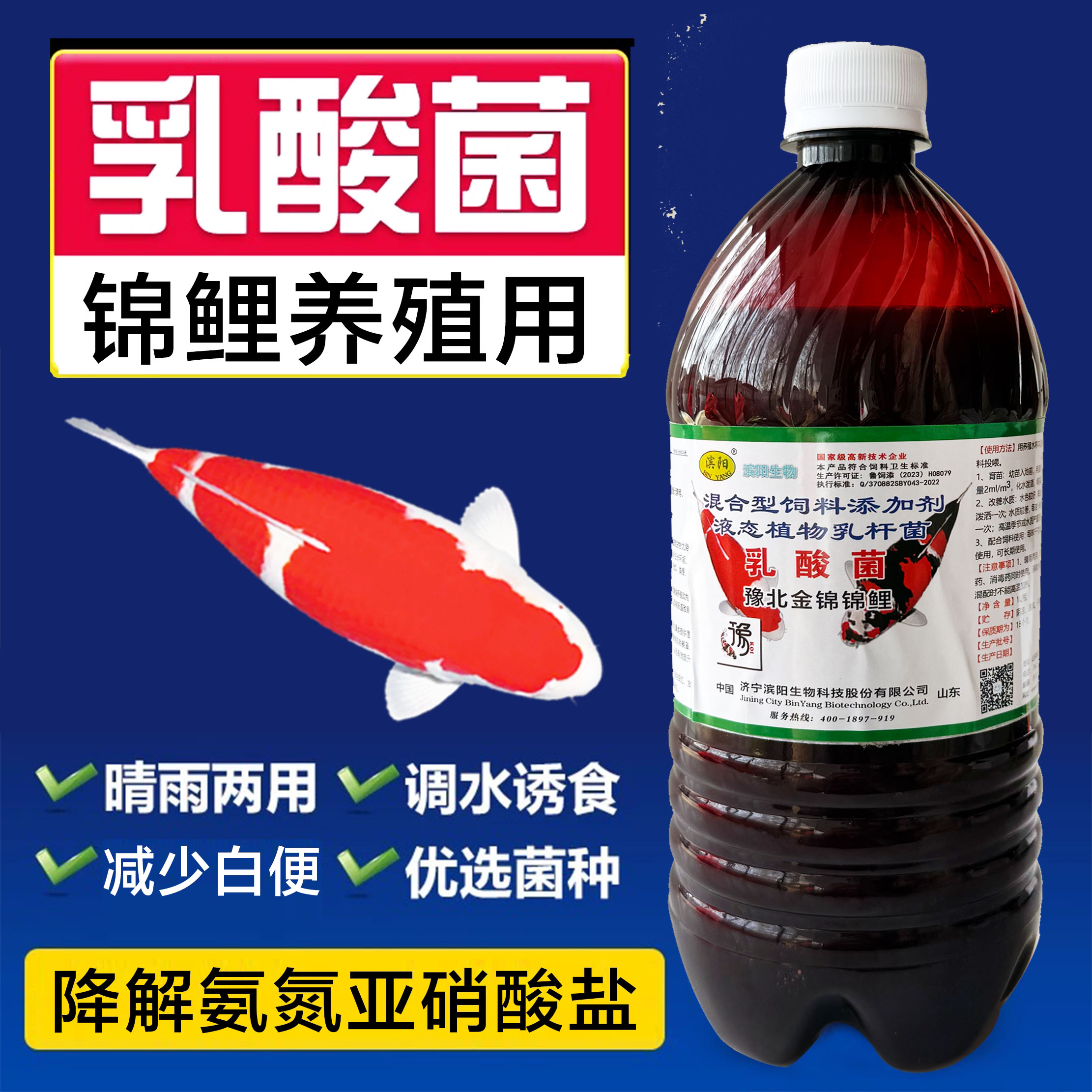 锦鲤鱼缸养水，开缸，拌饲料，鱼养水调理水，降低水中氨氮，亚硝酸。