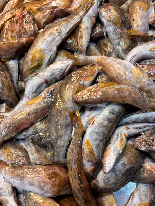 大连野生钓勾小黄鱼4斤顺丰包邮