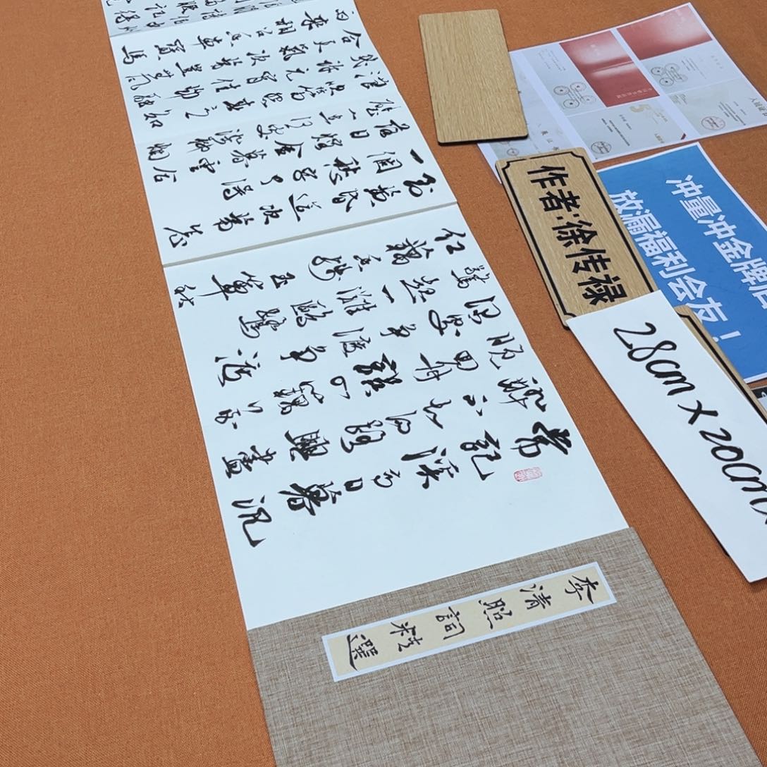 书法中书会员原创书法放漏速拍