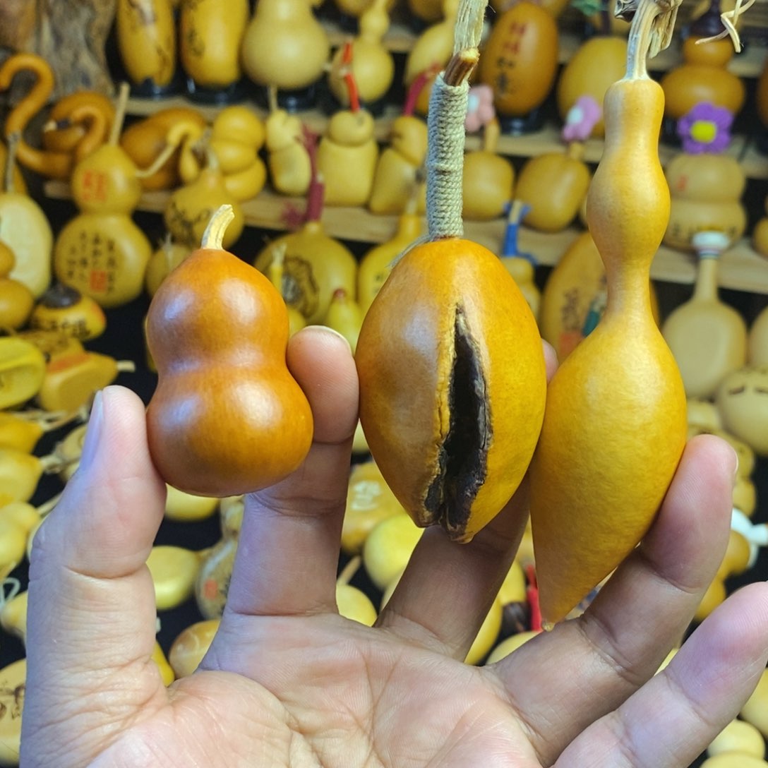 九**丶直播间链接不退不换