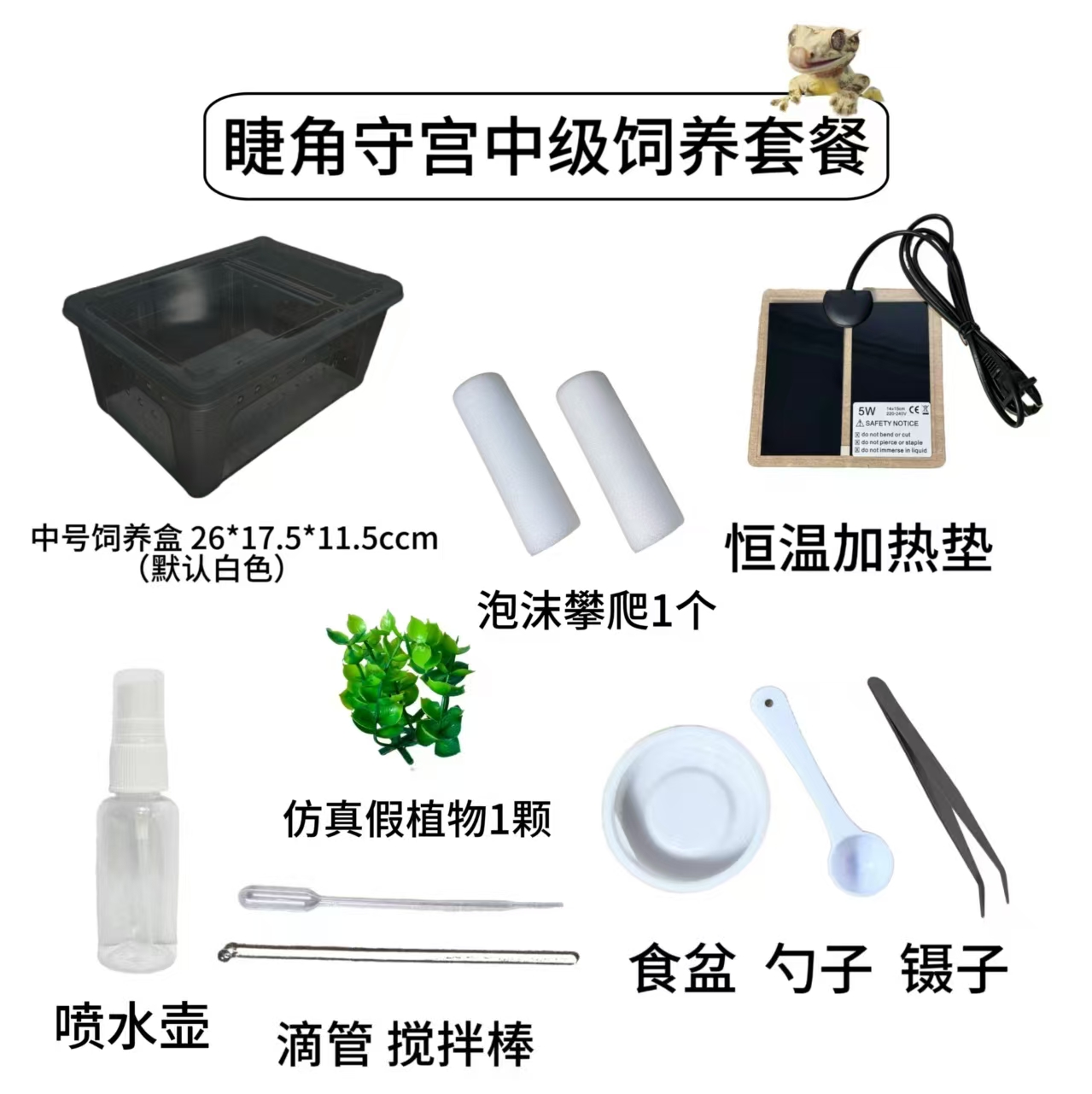 爬宠饲养箱套装睫角豹纹守宫专用蜥蜴爬虫饲养盒套餐人渣盒加热垫