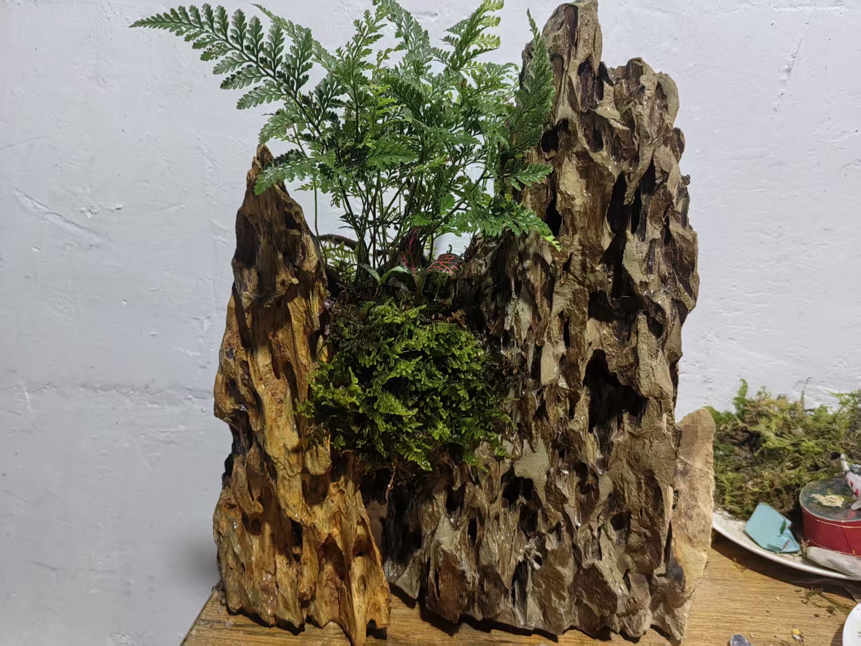 微景观盆景绿植1