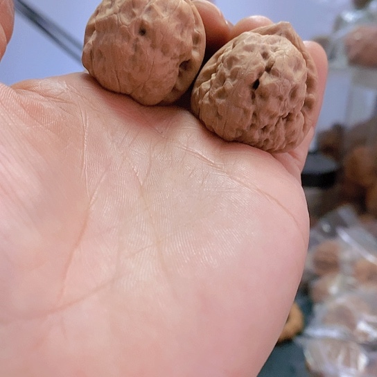 【闪购商品】把件文玩核桃33三角古蝉