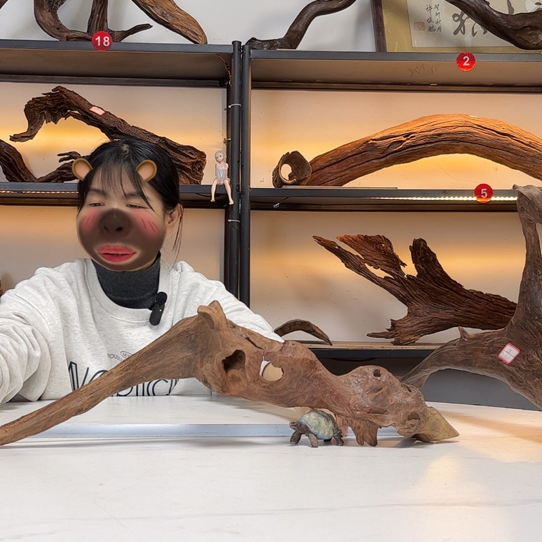 独***游茶宠尺寸，55.17。         