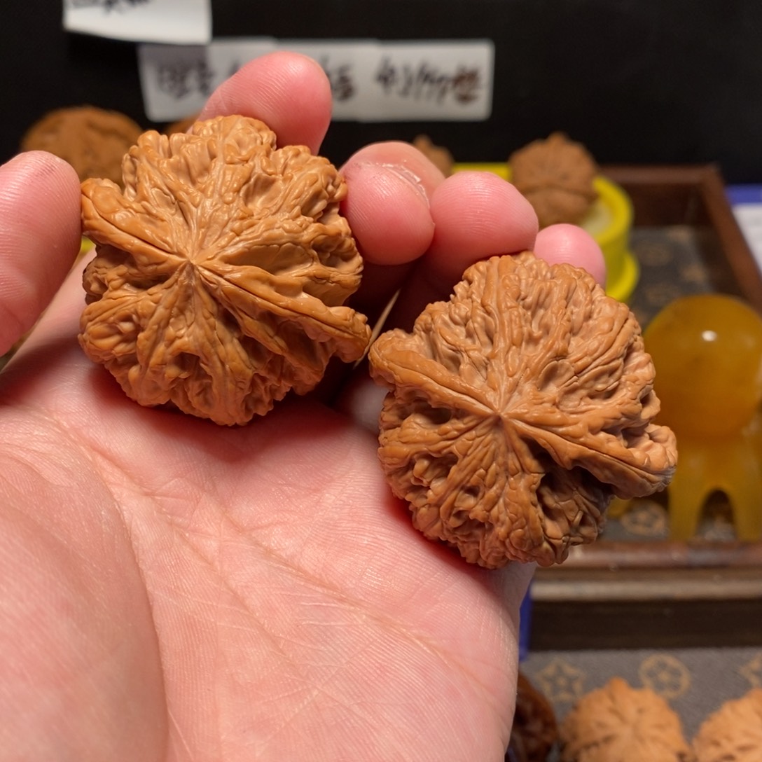 影***全文玩核桃吊坠粗筋