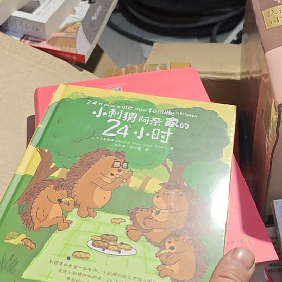 小刺猬和阿耐家的24小时。