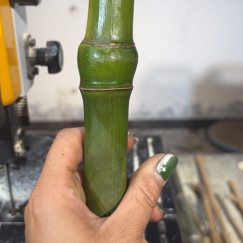 竹木*实心竹竹竹竹竹竹竹竹竹