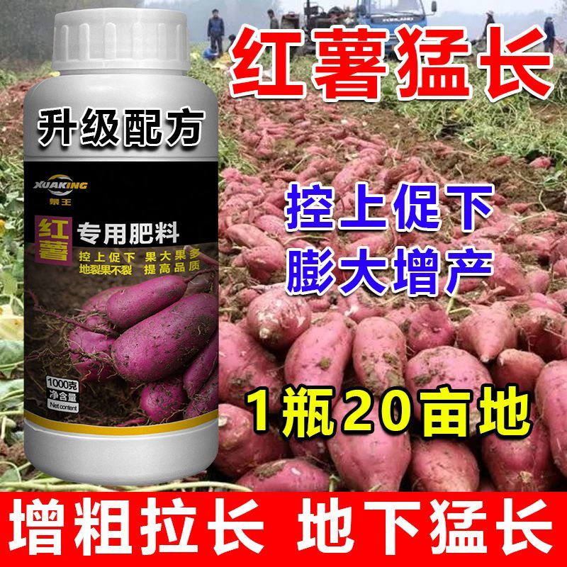 红薯薯满地红薯专用叶面肥红薯膨大素增多增产增收防裂红薯专用肥